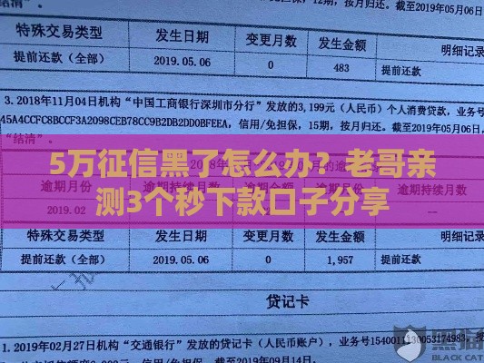 5万征信黑了怎么办？老哥亲测3个秒下款口子分享