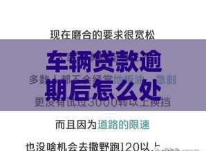 车辆贷款逾期后怎么处理最靠谱？老司机亲测3招补救秘籍