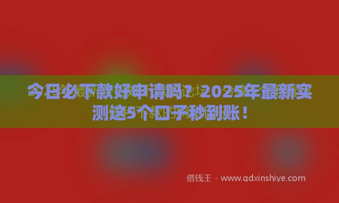 今日必下款好申请吗？2025年最新实测这5个口子秒到账！