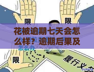 花被逾期七天会怎么样？逾期后果及补救措施全解析