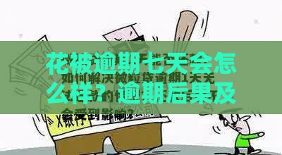 花被逾期七天会怎么样？逾期后果及补救措施全解析