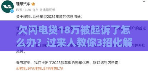 欠闪电贷18万被起诉了怎么办？过来人教你3招化解危机