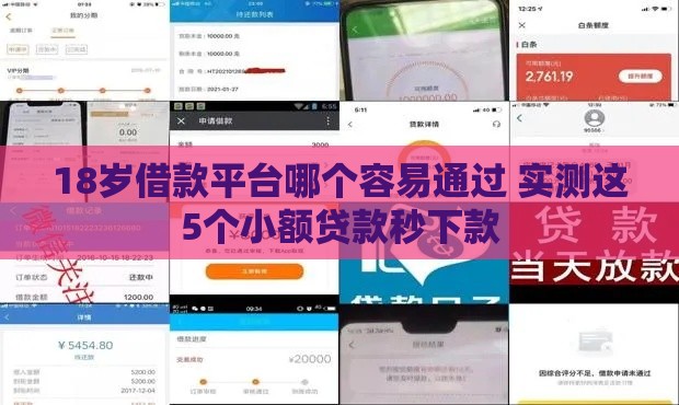 18岁借款平台哪个容易通过 实测这5个小额贷款秒下款