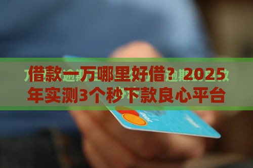借款一万哪里好借？2025年实测3个秒下款良心平台