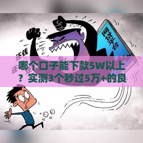 哪个口子能下款5W以上？实测3个秒过5万+的良心网贷平台