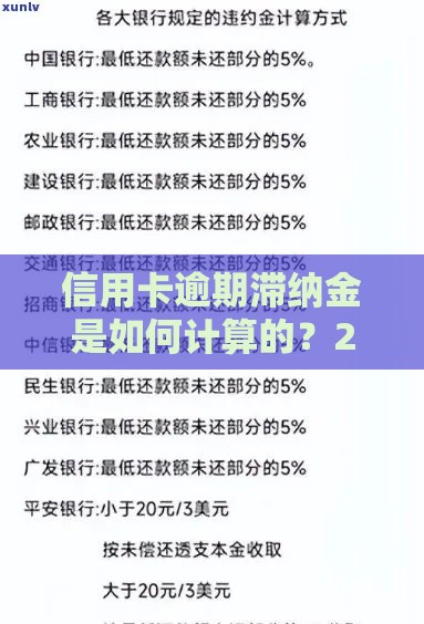 信用卡逾期滞纳金是如何计算的？2025年最新算法全解析