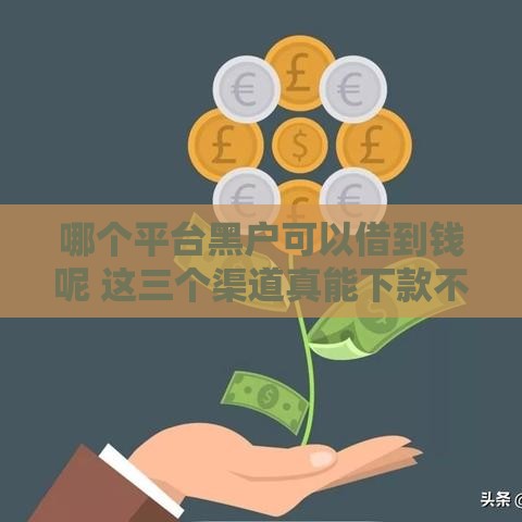哪个平台黑户可以借到钱呢 这三个渠道真能下款不忽悠