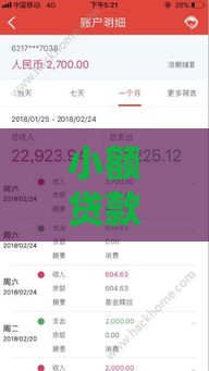 小额贷款是先放款还是先审核？老哥亲测3秒到账秘籍大公开！