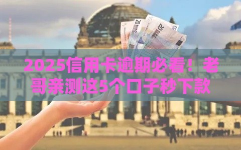 2025信用卡逾期必看！老哥亲测这5个口子秒下款不查征信