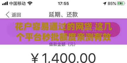 花户容易通过的网贷 这几个平台秒批额度亲测有效