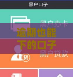 逾期也能下的口子真实分享，2025年最新黑户秒过平台实测