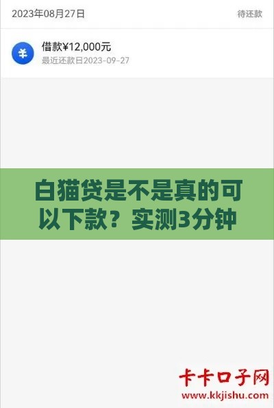 白猫贷是不是真的可以下款？实测3分钟到账的网贷神器