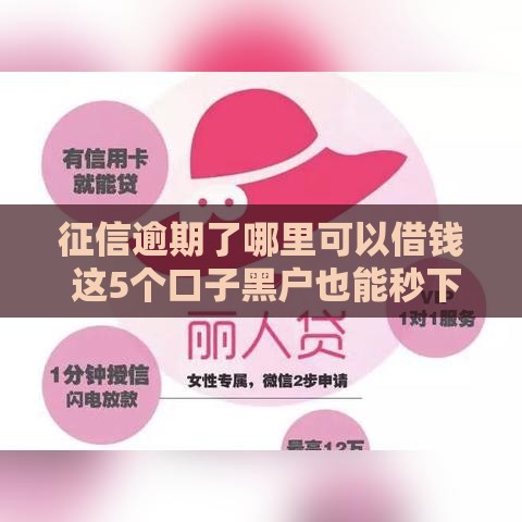 征信逾期了哪里可以借钱 这5个口子黑户也能秒下款