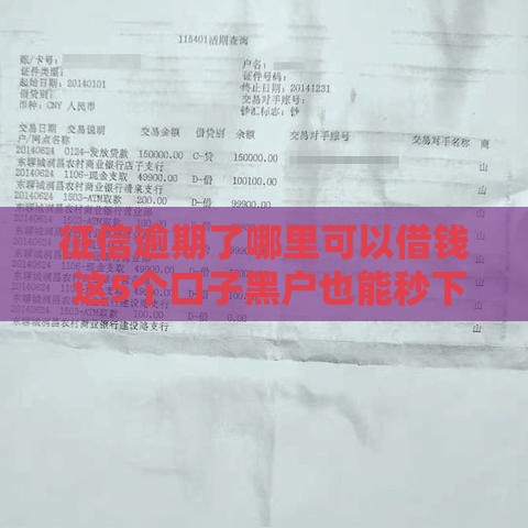 征信逾期了哪里可以借钱 这5个口子黑户也能秒下款