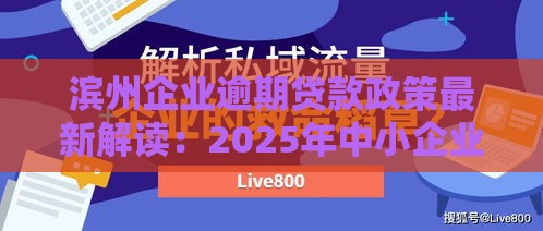 滨州企业逾期贷款政策最新解读：2025年中小企业救命稻草