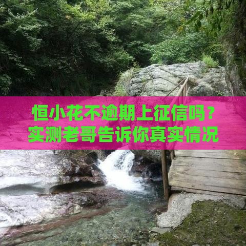 恒小花不逾期上征信吗？实测老哥告诉你真实情况