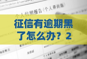 征信有逾期黑了怎么办？2025年实测这几个口子还能下款