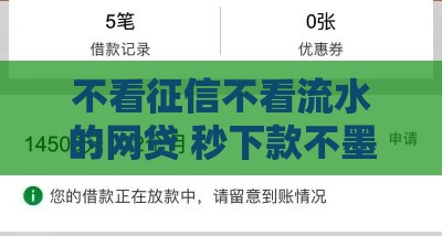不看征信不看流水的网贷 秒下款不墨迹的真口子推荐