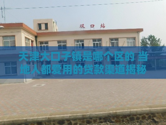 天津大口子镇是哪个区的 当地人都爱用的贷款渠道揭秘