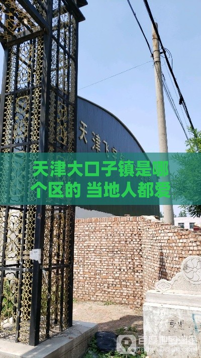 天津大口子镇是哪个区的 当地人都爱用的贷款渠道揭秘