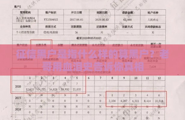 征信黑户是指什么样的算黑户？老哥用血泪史告诉你真相