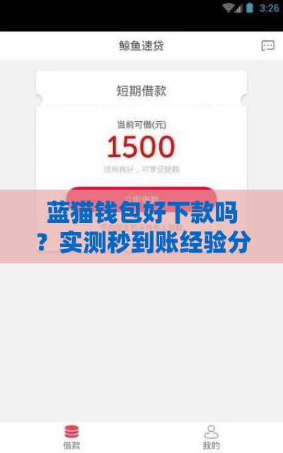 蓝猫钱包好下款吗？实测秒到账经验分享