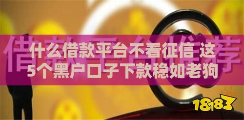 什么借款平台不看征信 这5个黑户口子下款稳如老狗
