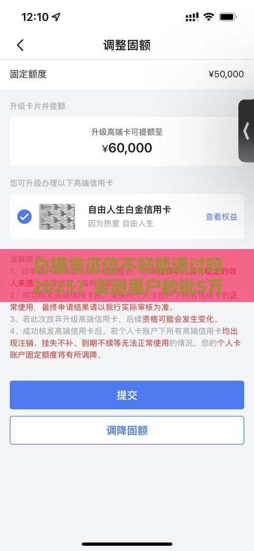 白猫贷征信不好能通过吗2025？实测黑户秒批5万额度内幕！