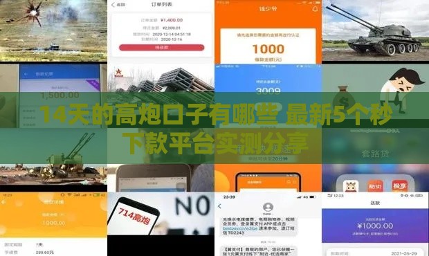 14天的高炮口子有哪些 最新5个秒下款平台实测分享