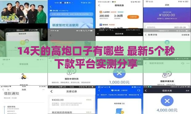 14天的高炮口子有哪些 最新5个秒下款平台实测分享