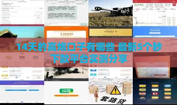 14天的高炮口子有哪些 最新5个秒下款平台实测分享