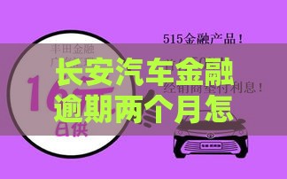 长安汽车金融逾期两个月怎么办？老司机亲测补救攻略