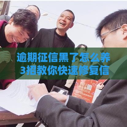 逾期征信黑了怎么养 3招教你快速修复信用记录