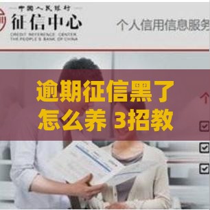 逾期征信黑了怎么养 3招教你快速修复信用记录