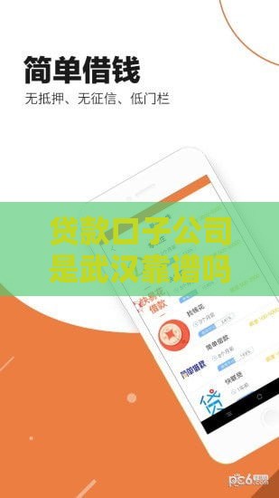 贷款口子公司是武汉靠谱吗？实测武汉本土贷款平台真实体验分享
