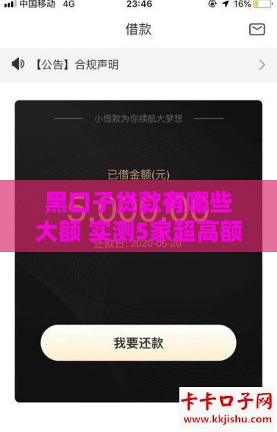 黑口子贷款有哪些大额 实测5家超高额度秒下款平台