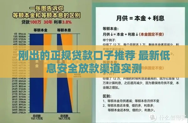 刚出的正规贷款口子推荐 最新低息安全放款渠道实测