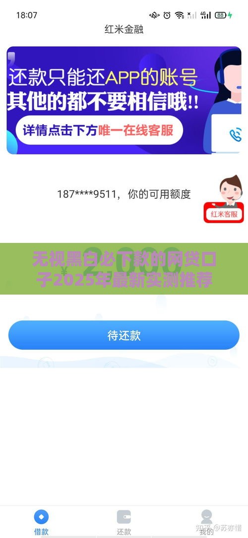 无视黑白必下款的网贷口子2025年最新实测推荐