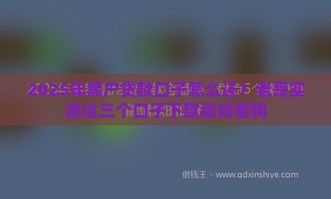 2025年黑户贷款口子怎么还？老哥实测这三个口子下款稳如老狗