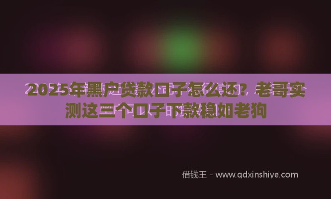 2025年黑户贷款口子怎么还？老哥实测这三个口子下款稳如老狗