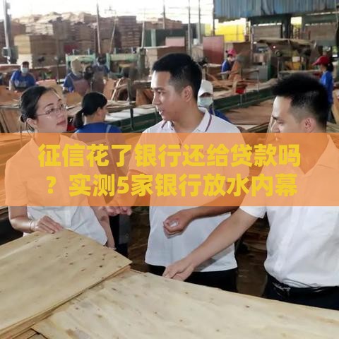 征信花了银行还给贷款吗？实测5家银行放水内幕+网贷神操作