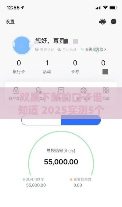 双黑下款的口子谁知道 2025实测5个秒过平台内幕分享