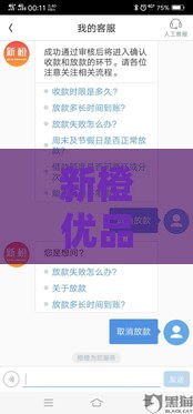 新橙优品还在放款吗？2025最新实测下款攻略分享