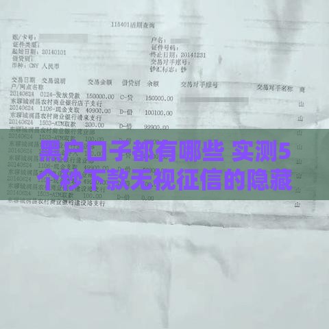 黑户口子都有哪些 实测5个秒下款无视征信的隐藏渠道