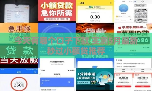 今天有哪个口子下款 实测5月最新秒过小额贷推荐