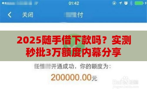 2025随手借下款吗？实测秒批3万额度内幕分享