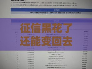 征信黑花了还能变回去吗 老哥亲测3个月修复秘籍大公开