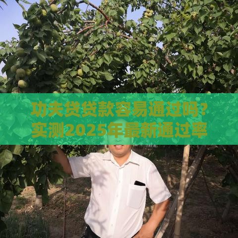 功夫贷贷款容易通过吗？实测2025年最新通过率与技巧分享