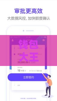 钱包大王袋是哪个口子 靠谱网贷平台实测推荐