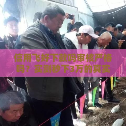 信用飞好下款吗审核严格吗？实测秒下3万的真实经历分享